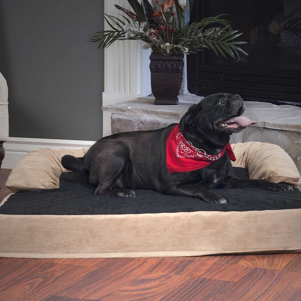 Alpha Dog Bed